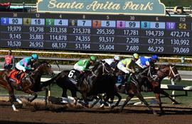 19 Horse Deaths Prompt PETA to Call For Investigation Into Thoroughbred Trainers