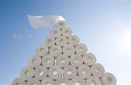 America´s Love of Luxury Toilet Paper is Destroying Canadian Forests