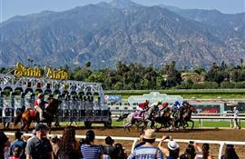 Another Horse Dies After Injury At Santa Anita Park, 24th Since December
