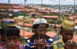 Bangladesh silent on Canada offer to take Rohingya refugees
