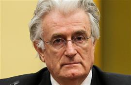 Bosnian war: The final verdict for Karadzic at appeal tribunal