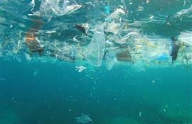 European Parliament Votes To Ban Single-Use Plastics