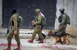 Israeli forces raid several towns in south of West Bank, search homes