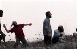 Israeli settlers attack Palestinian cars near Nablus with stones