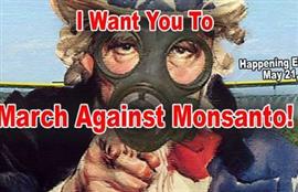 Nine Good Reasons to Demonstrate Against Monsanto