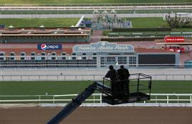 Santa Anita bans drugs, limits whips after 22nd horse suffers fatal injury