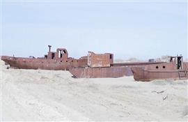 Students Plant Trees To Save What´s Left of The Aral Sea